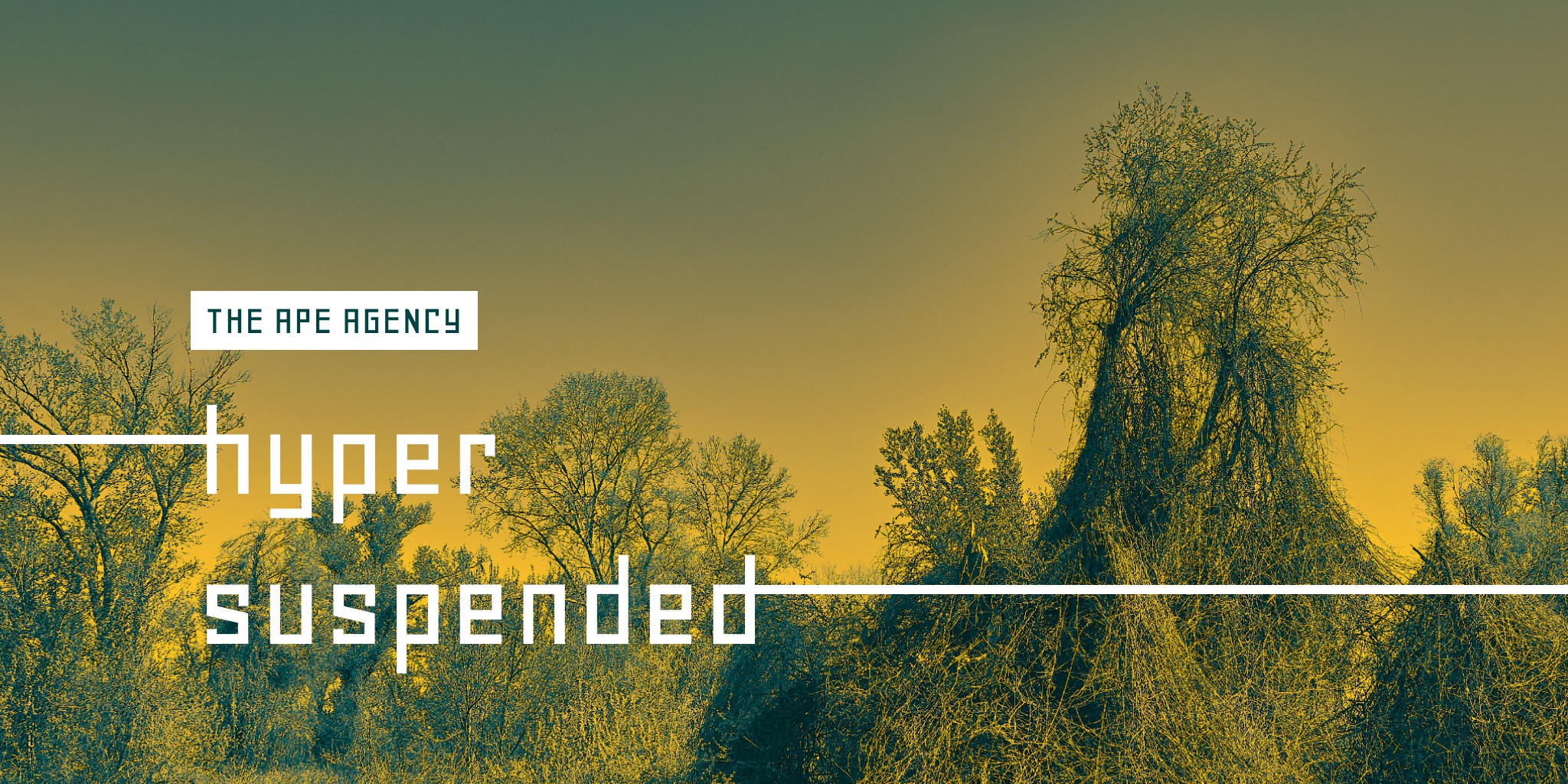 Hyper suspended cover